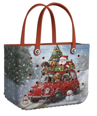 Bucket Tote Bag, Limited Edition Bogg Bag, Beach Bag Dachshund Dash