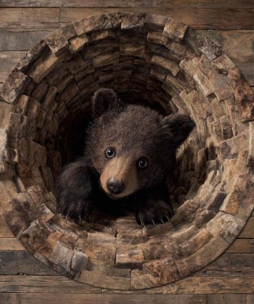 Stone Well Bear Quilted Round Mat