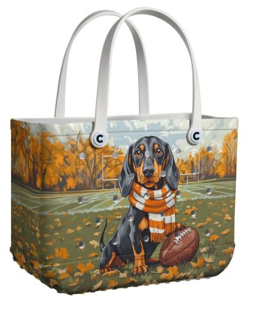 Bucket Tote Bag, Limited Edition Bogg Bag, Beach Bag Touchdown Pup